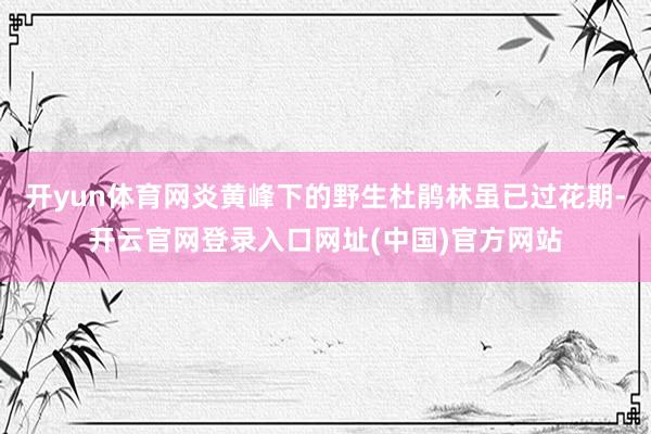 开yun体育网炎黄峰下的野生杜鹃林虽已过花期-开云官网登录入口网址(中国)官方网站
